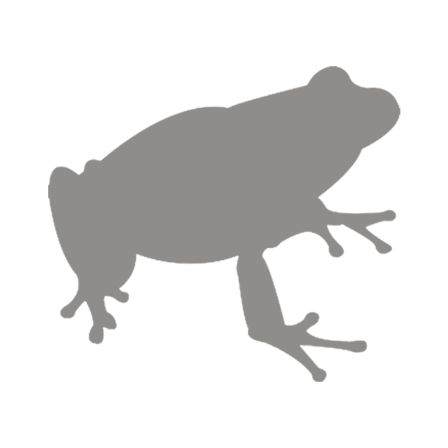 FROGWORKS